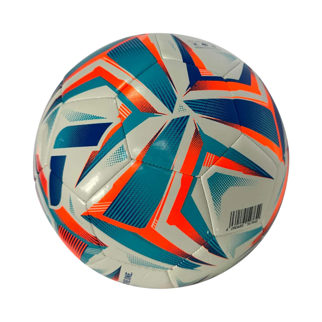 BALON DE FUTBOL REUSCH SILVER