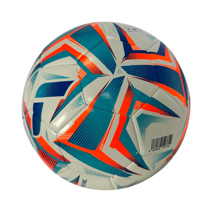 BALON DE FUTBOL REUSCH SILVER